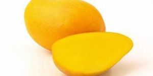 Fresh Mangoes