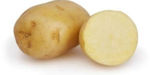 Fresh Potatoes