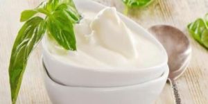 Fresh Yogurt