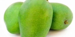 Fresh Green Mango