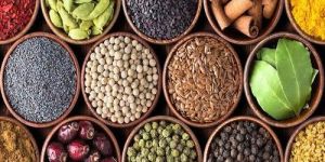 Indian Spices
