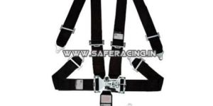 Harness Seat Belt