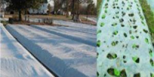 Non Woven Agriculture Fabrics