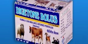 Digetone Bolus Strip