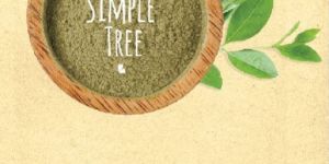 Simple Tree Natural Brown Hair Color