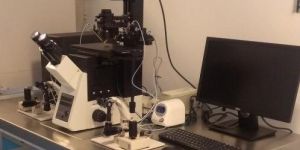 ICSI Micromanipulator