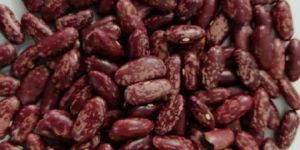 Kidney beans- Rajma Chitra