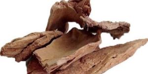 Arjun Bark Terminalia