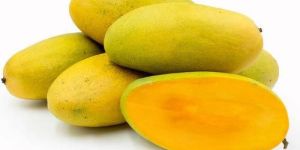 Fresh Dasheri Mango