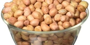 Groundnut Kernel