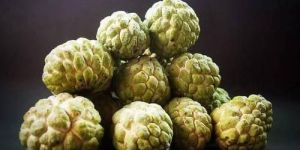 Frozen Custard Apple