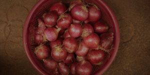 Fresh Red Onion