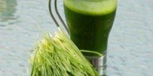 Wheat Grass Juice