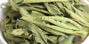 Dried Stevia Leaves