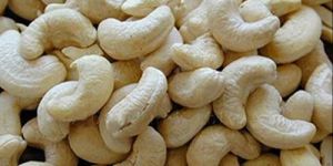Raw Cashew Nut