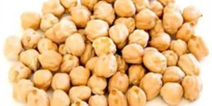 White Chickpeas