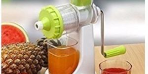 Vegetable Juicer