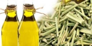 Lemon Grass Oil