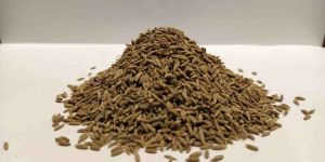 Brown Cumin Seeds