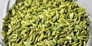 Organic Fennel Seeds