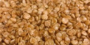 Salty Dal Biji Namkeen