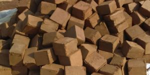 Coir Pith Blocks