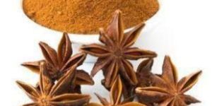 Star Anise Powder