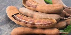 Organic Tamarind Pods