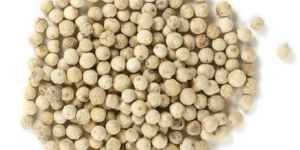 White Pepper Seeds