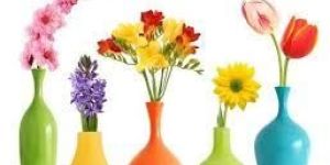 Flower Vases