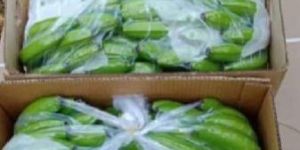 Fresh Organic Green Banana