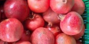 Fresh Red Pomegranate