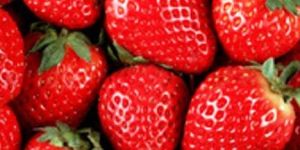 Fresh Sweet Strawberry