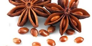 Organic Star Anise Seeds