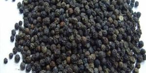 Organic Black Pepper Seeds