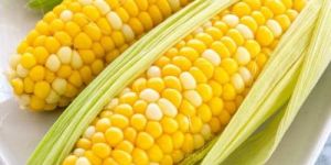 Sweet Corns