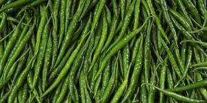 Natural Green Chilli