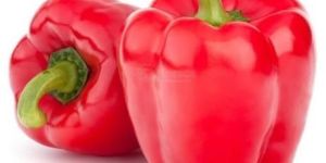 Red Capsicum