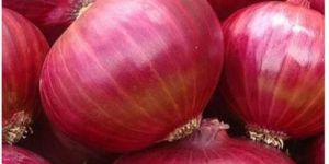 Red Onion