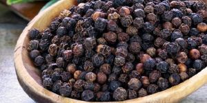 Black Pepper Seeds