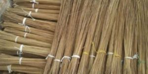 Coconut Stick Broom