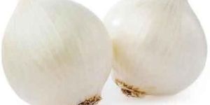Fresh White Onion