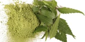 Neem Powder