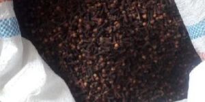 Clove