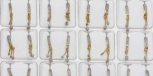 American Diamond Earring