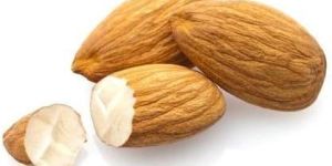 Fresh Afghan Almond Nuts