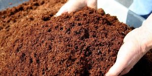 Coconut Coir Pith