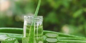 Aloe Vera Herbal Shampoo