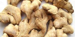 Dry Ginger