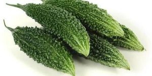 Fresh Bitter Gourd